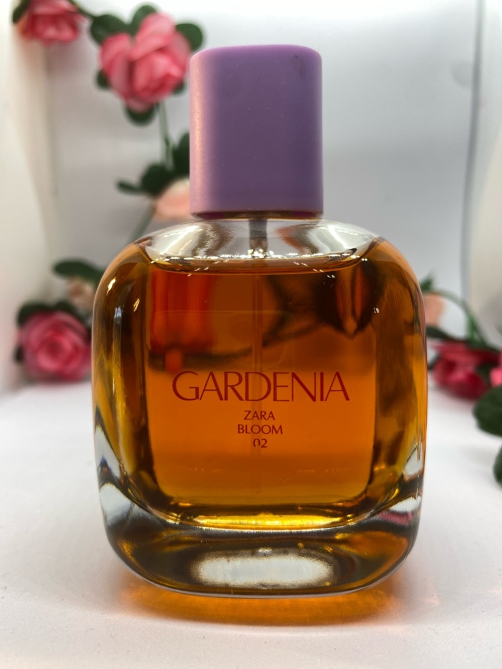 Zara - Gardenia